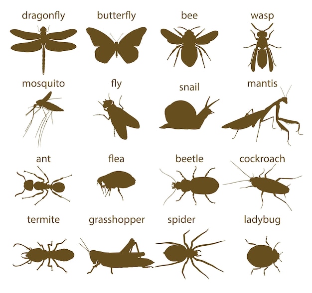 collection silhouettes Insectes