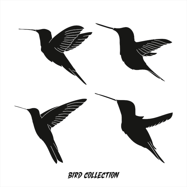collection de silhouettes d'oiseaux volants emballage et ensemble d'oizeaux