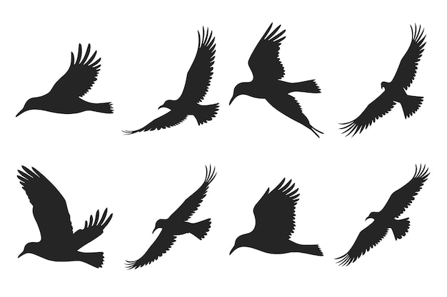 Collection de silhouettes d'oiseaux volants Illustration sur fond blanc