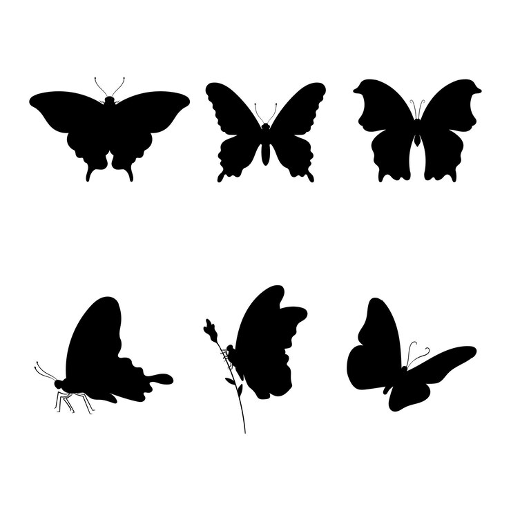 Collection de silhouettes de papillons
