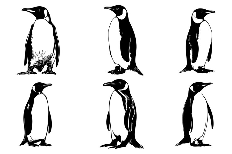 collection de silhouettes de pingouins empereurs