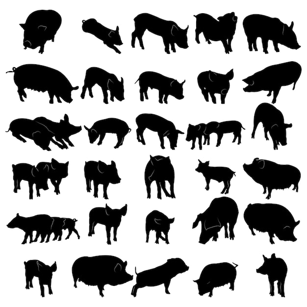 Collection de silhouettes de porcs vecteurs isolées sur un fond blanc
