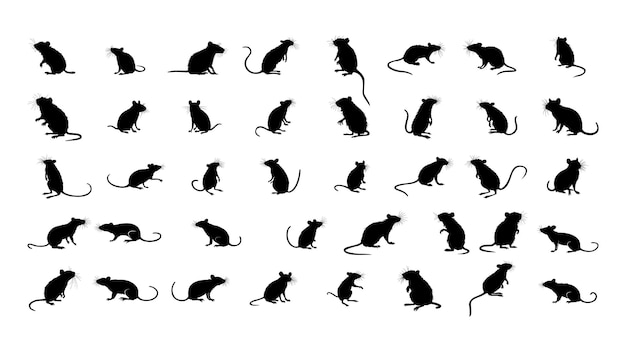 Vecteur collection de silhouettes de rats d'halloween dessinées à la main