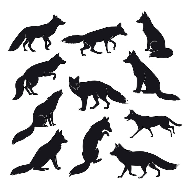 Collection de silhouettes de renards noirs dans diverses poses