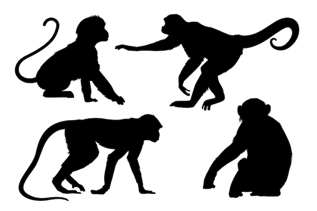 Vecteur collection de silhouettes de singe dessinés à la main