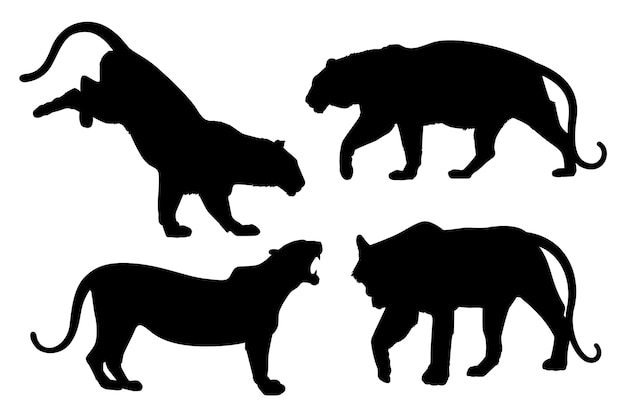 Vecteur collection de silhouettes de tigre dessinées à la main