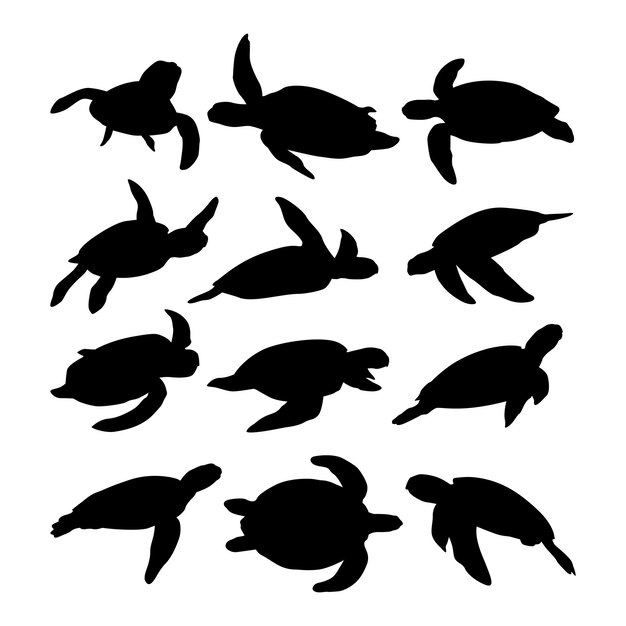 Vecteur collection de silhouettes de tortues marines vectorielles isolées