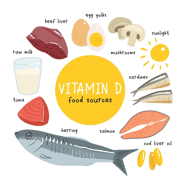 Collection De Sources De Vitamine D Aliments Enrichis En Cholécalciférol Produits Laitiers Poissons Champignons Et œufs Nutrition Organique Diététique Illustration De Dessin Animé De Vecteur Plat Isolé Sur Blanc