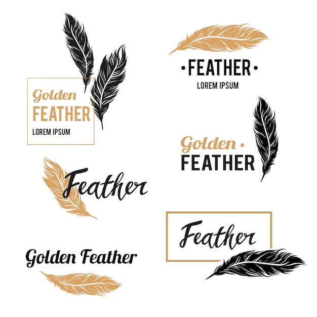 Collection de symboles de plumes avec des éléments de design dorés