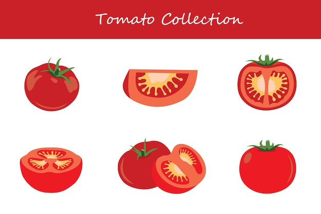 collection de tomates dans différentes poses illustration vectorielle