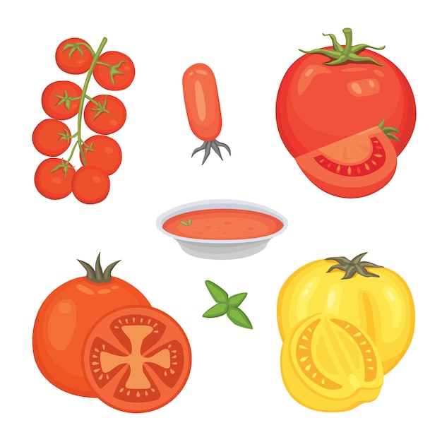 Vecteur collection de tomates rouges fraîches et illustrations de soupe.