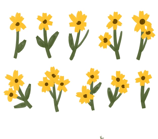 une collection de tournesols avec des feuilles
