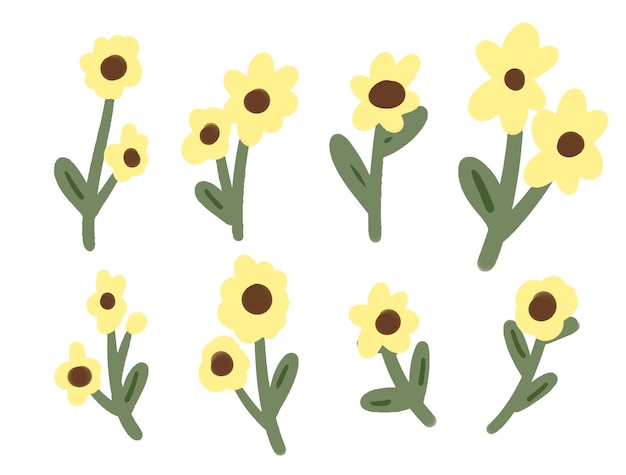 une collection de tournesols avec des feuilles