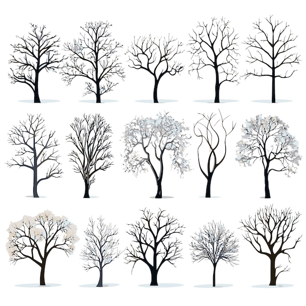 Collection De Vecteurs De L'arbre D'hiver