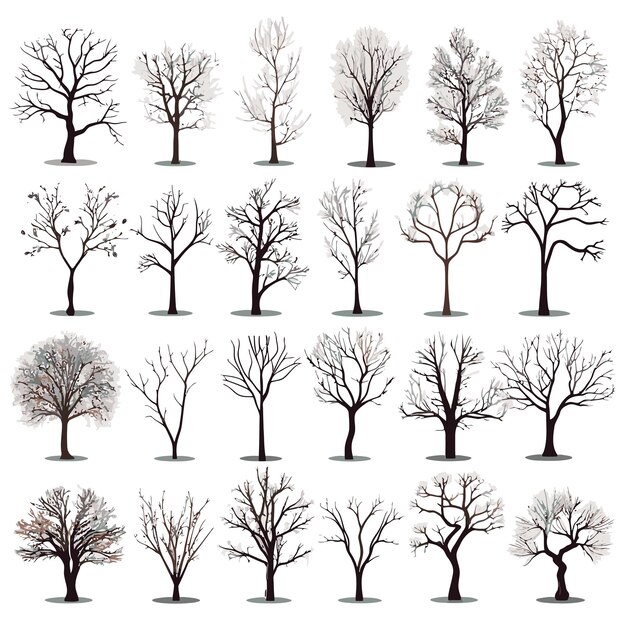 Collection De Vecteurs De L'arbre D'hiver