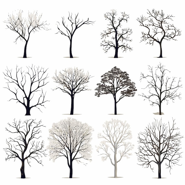Collection de vecteurs de l'arbre d'hiver