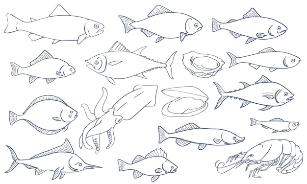 Collection De Vecteurs De Dessin Au Trait De Poisson