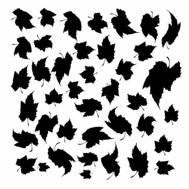 Collection de vecteurs de feuilles noires Illustration de silhouette de feuille Éléments décoratifs dessinés à la main