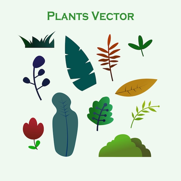 Collection de vecteurs de plantes