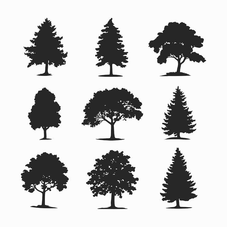 Vecteur une collection de vecteurs de silhouettes de pins sur un fond blanc