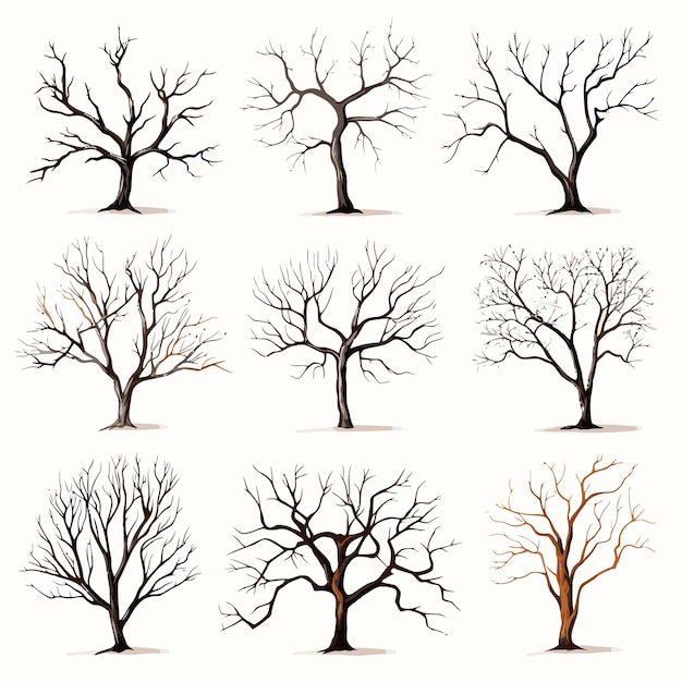 Vecteur collection vectorielle d'arbres d'hiver