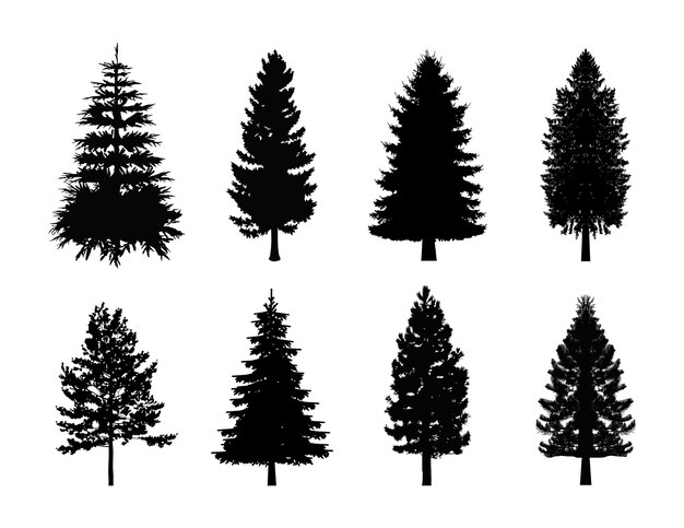 Une collection vectorielle de silhouettes de pins