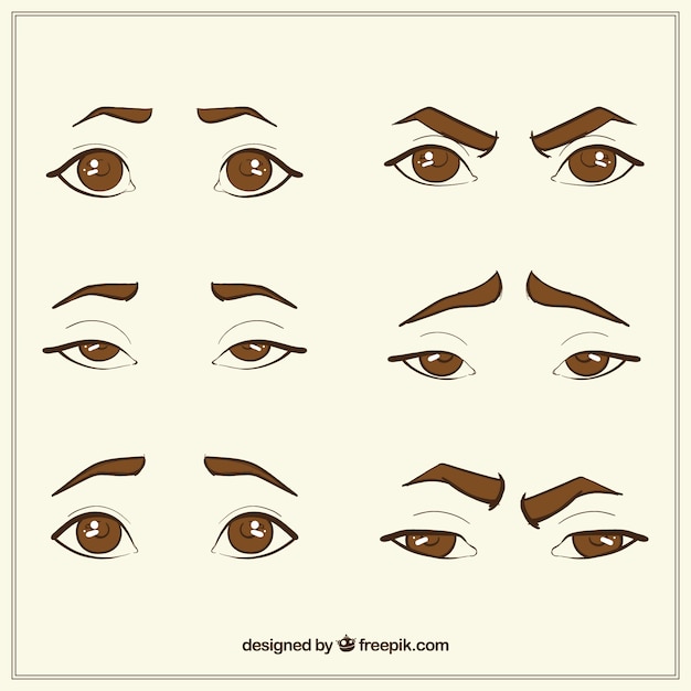 Collection Des Yeux Dessinés à La Main Et Des Croquis Des Sourcils