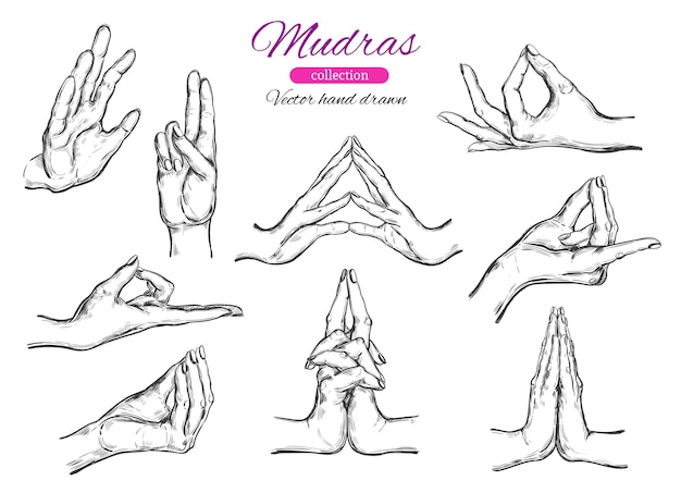 Vecteur collection de yoga mudras dessinés à la main