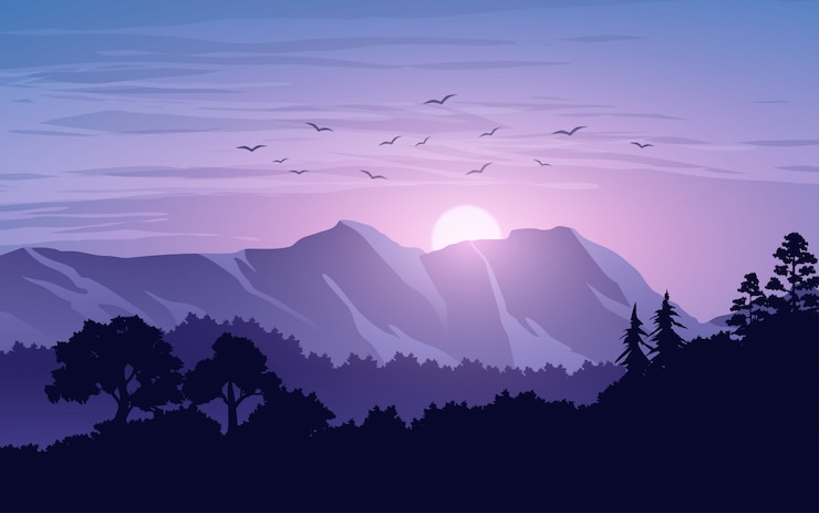 Vecteur colline en forêt à l'illustration du lever du soleil