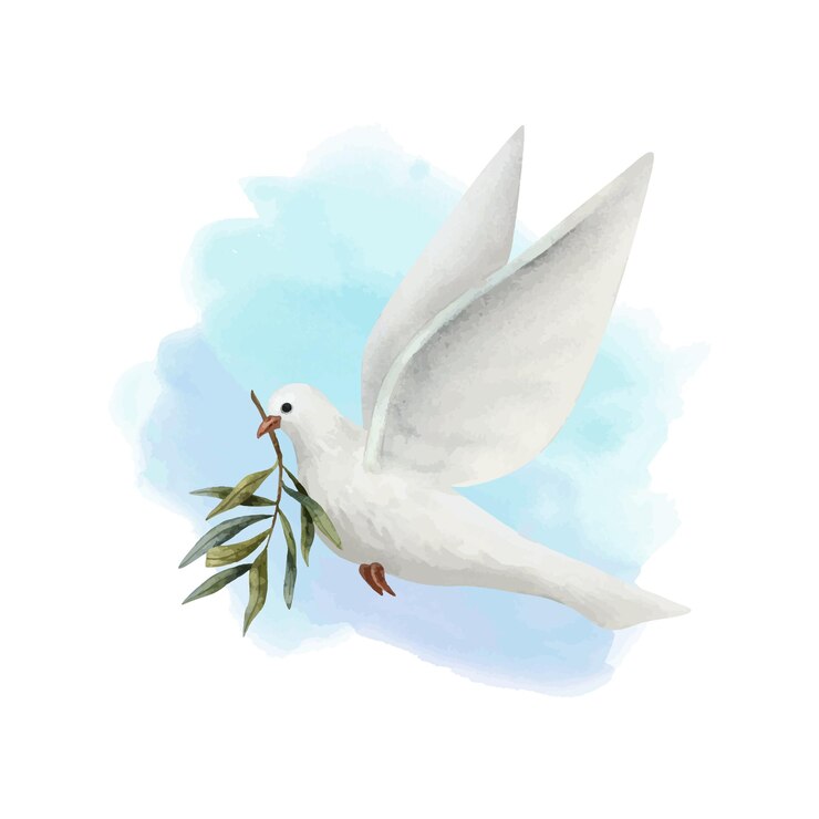 Vecteur colombe blanche de la paix avec une brindille d'olivier sur un ciel bleu pastel illustration à l'aquarelle oiseau pigeon volant