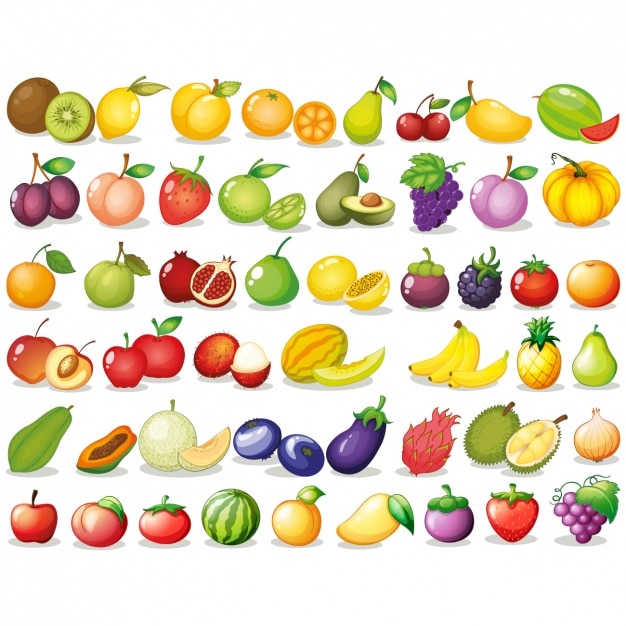 Vecteur coloré fruits collection