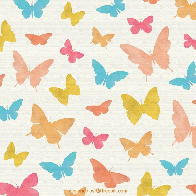 Colorful Butterflies Fond