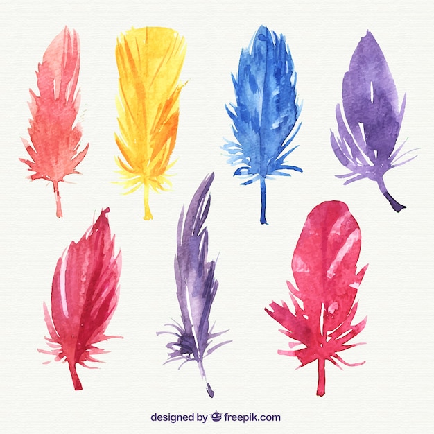 Vecteur colorful collection de plumes peintes à la main