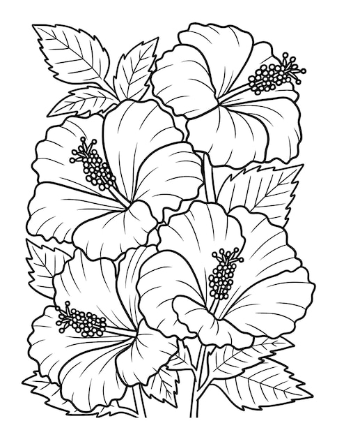 Coloriage fleur d'hibiscus pour adultes