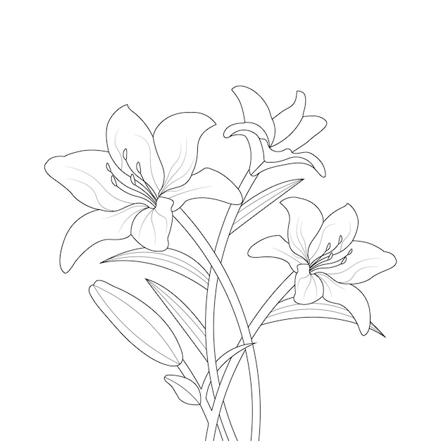 Coloriage Fleur De Lys Avec Dessin Au Trait Pour Enfants Dessin Illustration