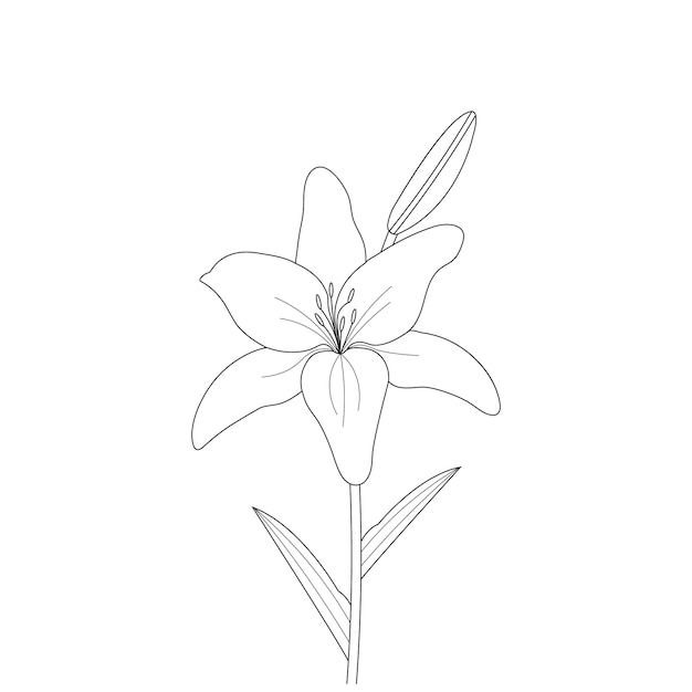 Vecteur coloriage fleur de lys avec dessin au trait pour enfants dessin illustration