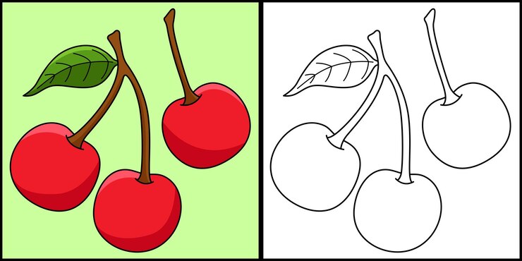 Vecteur coloriage fruit cerise illustration colorée