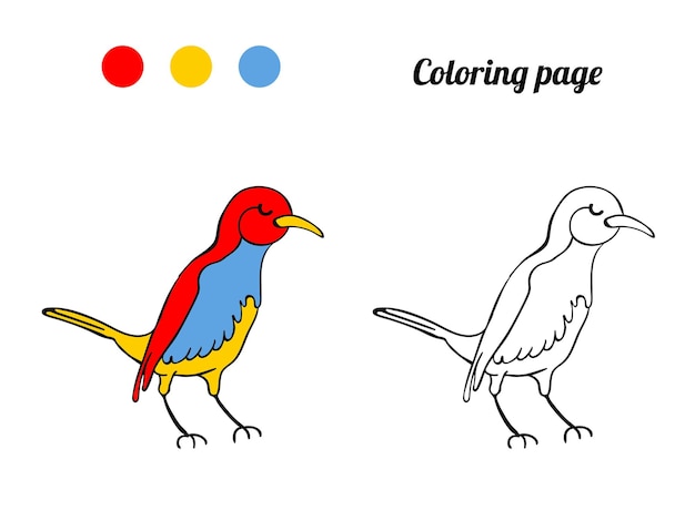 Coloriage Ou Livre Avec Illustration D'oiseau