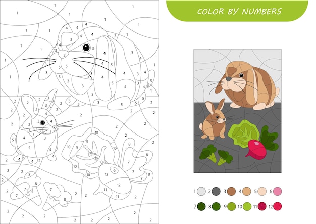 Vecteur coloriage par numéros animaux