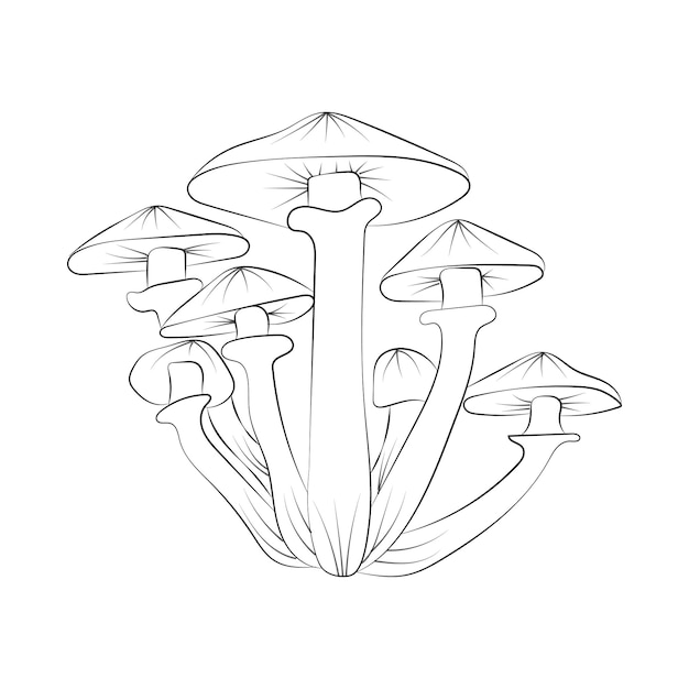 Coloriages De Champignons Vecteur Premium