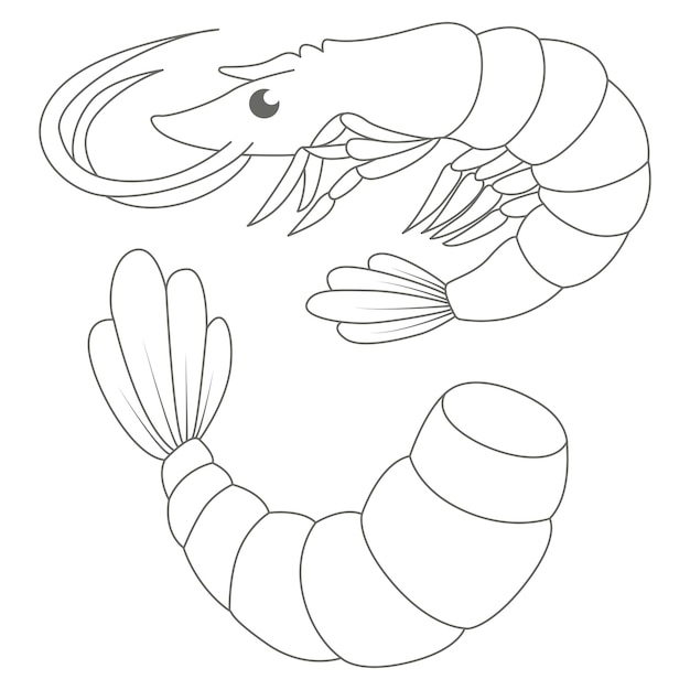 Coloriages de crevettes Coloriages pour enfants