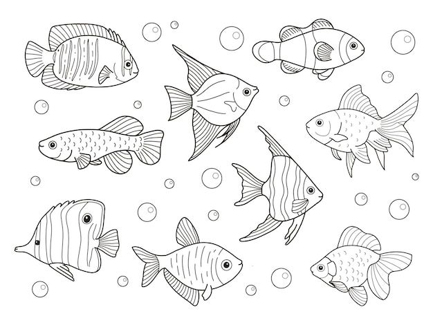 Coloriages à Imprimer De Contour De Poisson