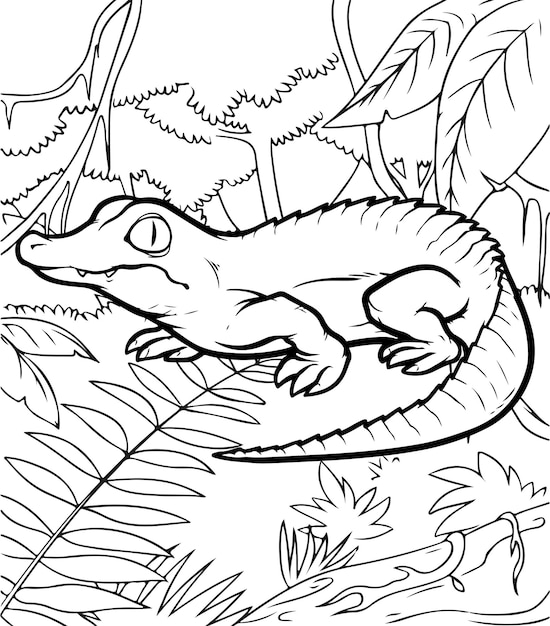 Coloriages Mignons Bébé Crocodile Pour Les Enfants