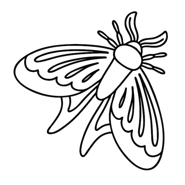 Vecteur coloring page night butterfly vector outline illustration