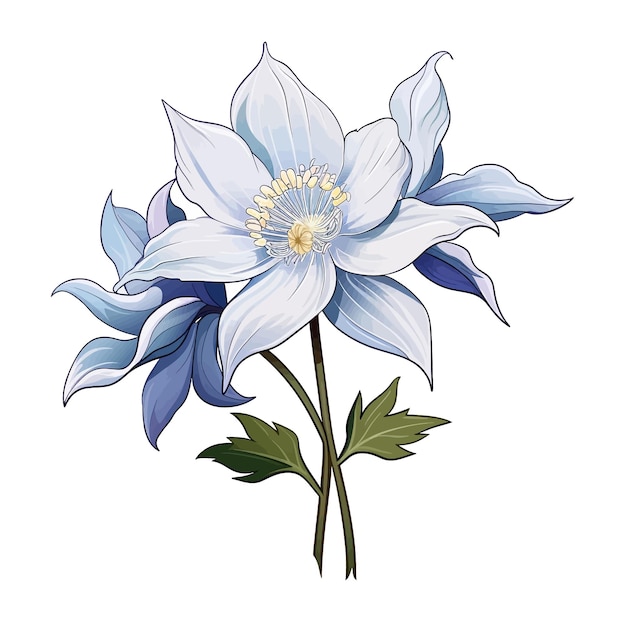 Vecteur columbine fleur vecteur clipart fond blanc