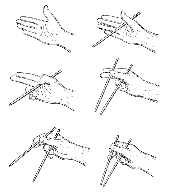 Comment Utiliser Les Instructions Des Baguettes Chinoises Ou Japonaises. Manger De La Nourriture Asiatique Avec Un Guide D'outils Spécial. Affiche D'instructions Pour Votre Entreprise De Restauration. Position Des Mains Et Des Doigts. Vecteur De Croquis Isolé