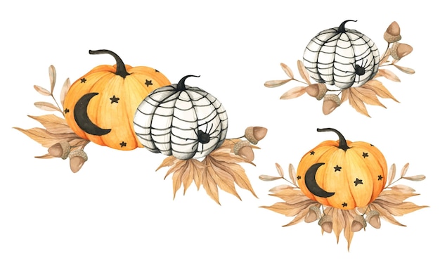 Vecteur composition de citrouilles florales à l'aquarelle décor de thanksgiving citrouilles pour halloween