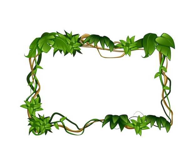 Vecteur composition de dessin animé de feuilles tropicales de liane avec cadre de forme rectangulaire en illustration vectorielle de vigne