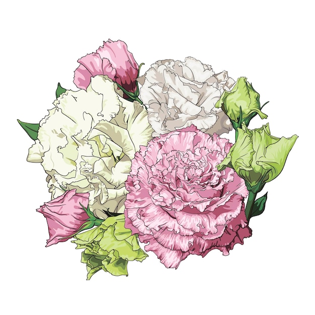 Vecteur composition d'eustomas roses, jaunes et crème sur fond blanc. dessin à main levée