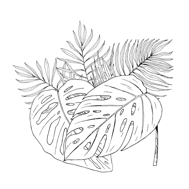 Vecteur composition avec des feuilles exotiques illustration dessinée à la main convertie en vecteur pour l'impression sur textiles
